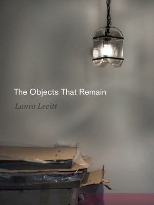 The Objects That Remain - Levitt, Laura