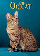 The Ocicat