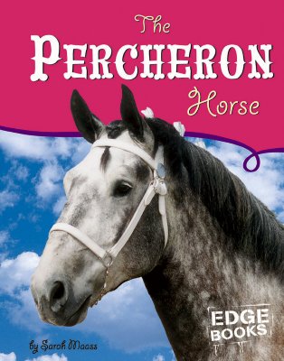 The Percheron Horse - Maass, Sarah