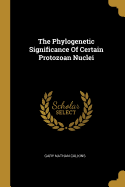 The Phylogenetic Significance Of Certain Protozoan Nuclei