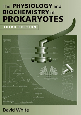 The Physiology and Biochemistry of Prokaryotes - White, David