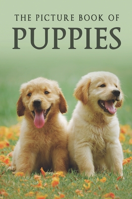 The Picture Book of Puppies: A Gift Book for Alzheimer's Patients and Seniors with Dementia - Books, Sunny Street