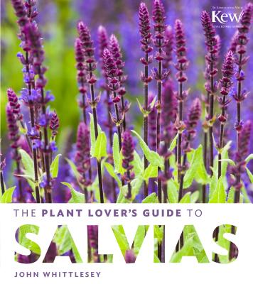 The Plant Lover's Guide to Salvias - Whittlesey, John