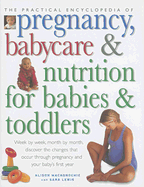 The Practical Encyclopedia of Pregnancy, Babycare and Nutrition for Babies and Toddlers