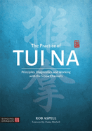 The Practice of Tui Na: Principles, Diagnostics and Working with the Sinew Channels
