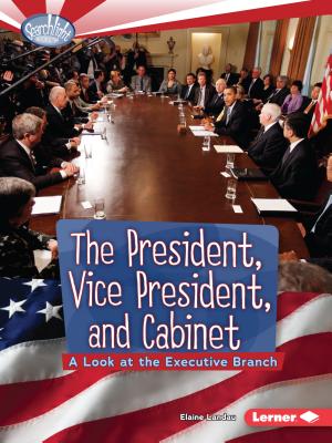 The President, Vice President, and Cabinet: A Look at the Executive Branch - Landau, Elaine