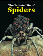 The Private Life of Spiders