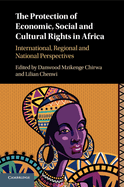 The Protection of Economic, Social and Cultural Rights in Africa: International, Regional and National Perspectives