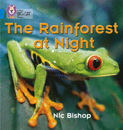 The Rainforest at Night: Band 04/Blue
