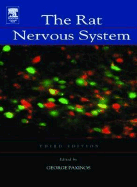 The Rat Nervous System