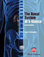 The Renal System at a Glance