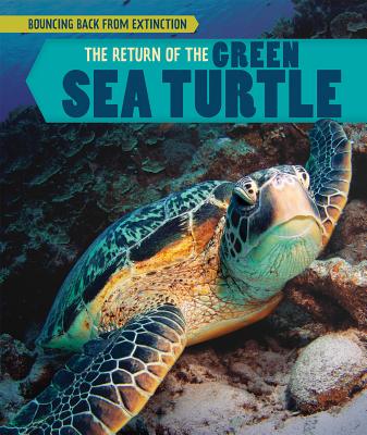 The Return of the Green Sea Turtle - Shofner, Melissa Ra