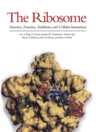 The Ribosome: Structure, Function, Antibiotics, and Cellular Interactions