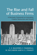 The Rise and Fall of Business Firms: A Stochastic Framework on Innovation, Creative Destruction and Growth
