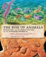 The Rise of Animals: Evolution and Diversification of the Kingdom Animalia