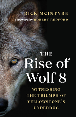 The Rise of Wolf 8: Witnessing the Triumph of Yellowstone's Underdog - McIntyre, Rick, and Redford, Robert (Foreword by)