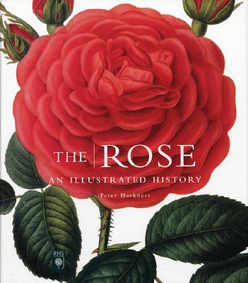 The Rose: An Illustrated History - Harkness, Peter