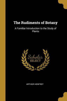 The Rudiments of Botany: A Familiar Introduction to the Study of Plants - Henfrey, Arthur