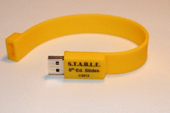 The S.T.A.B.L.E. Program Learner/Provider USB Flash Drive
