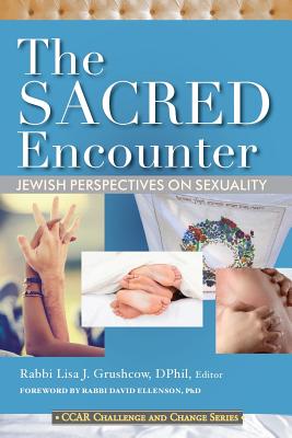 The Sacred Encounter: Jewish Perspectives on Sexuality - Grushcow, Lisa J (Editor)