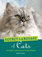 The Secret Language of Cats: The Body Language of Felie Bodies