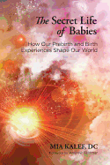 The Secret Life of Babies: How Our Prebirth and Birth Experiences Shape Our World