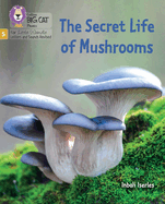 The Secret Life of Mushrooms: Phase 5 Set 4 Stretch and Challenge
