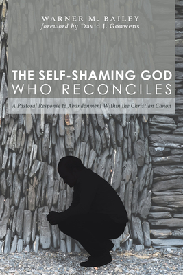 The Self-Shaming God Who Reconciles: A Pastoral Response to Abandonment Within the Christian Canon - Bailey, Warner M, and Gouwens, David J Holmer (Foreword by)