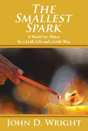 The Smallest Spark: A World Set Ablaze by a Little Life and a Little Way