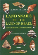 THE SNAILS OF THE LAND OF ISRAEL