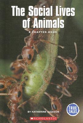 The Social Lives of Animals: A Chapter Book - Gleason, Katherine