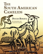 The South American Camelids (Expanded, Corrected)