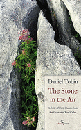The Stone in the Air: A Suite of Forty Poems from the German of Paul Celan
