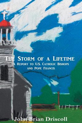 The Storm of a Lifetime: A Report to U.S. Catholic Bishops and Pope Francis - Driscoll Jr, John Bryan (Photographer), and Driscoll, John Brian