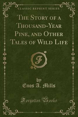 The Story of a Thousand-Year Pine, and Other Tales of Wild Life (Classic Reprint) - Mills, Enos A