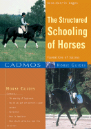 The Structured Schooling of Horses: Foundations of Success