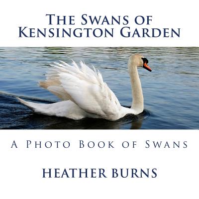 The Swans of Kensington Garden: A Photo Book of Swans - Burns, Heather