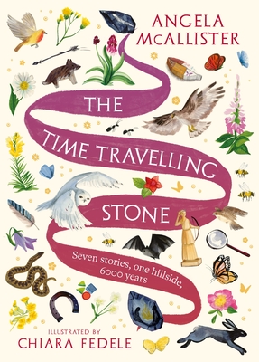 The Time Travelling Stone: Seven stories, one hillside, 6000 years - McAllister, Angela