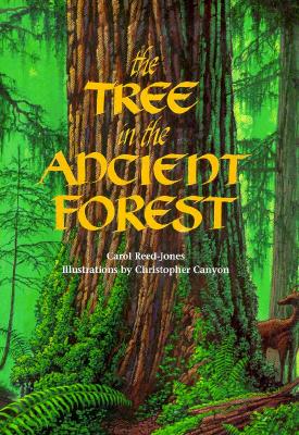 The Tree in the Ancient Forest - Reed-Jones, Carol