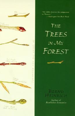The Trees in My Forest - Heinrich, Bernd, PhD