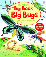 The Usborne Big Book of Big Bugs: And a Few Little Ones Too...