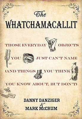 The Whatchamacallit: Those Everyday Objects You Just Can't Name (and Things You Think You Know about But Don't) - Danziger, Danny, and McCrum, Mark