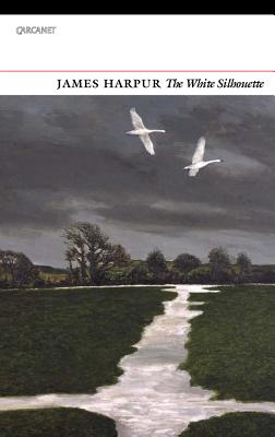 The White Silhouette - Harpur, James