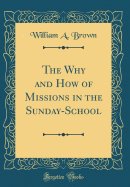 The Why and How of Missions in the Sunday-School (Classic Reprint)