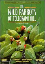 The Wild Parrots of Telegraph Hill [2 Discs] [Collector's Edition] - Judy Irving