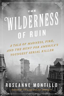 The Wilderness of Ruin: A Tale of Madness, Fire, and the Hunt for America's Youngest Serial Killer - Montillo, Roseanne