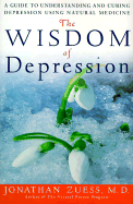 The Wisdom of Depression: A Guide to Understanding and Curing Depression Using Natural Medicine