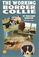 The Working Border Collie