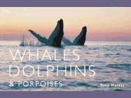 The World of Whales, Dolphins, & Porpoises: Natural History & Conservation