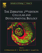 The Zebrafish: Cellular and Developmental Biology - Detrich, H William, III, and Zon, Leonard I, and Westerfield, Monte